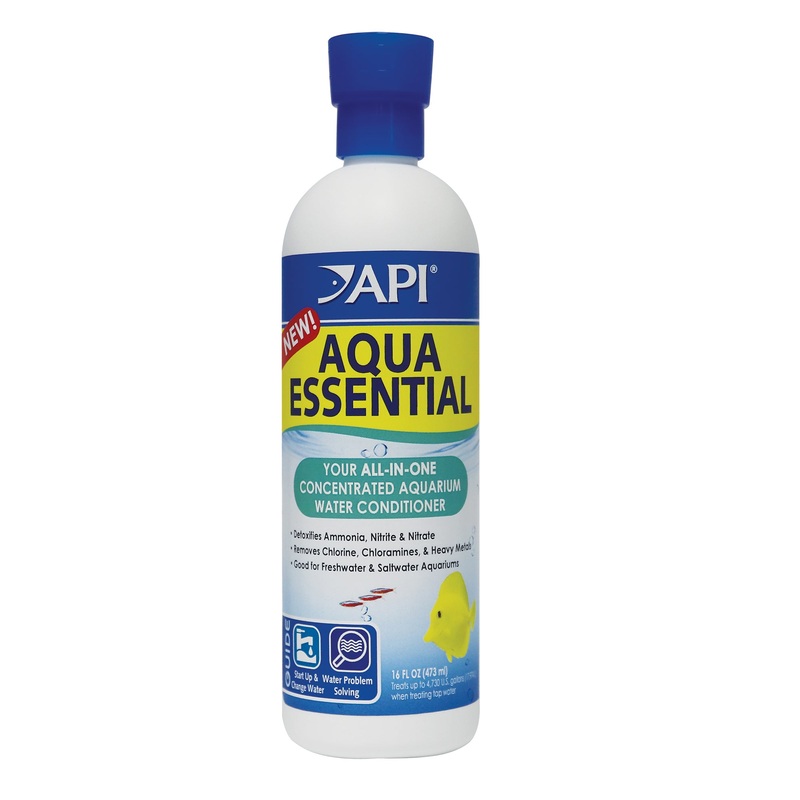 API - Aqua Essential (473ml)