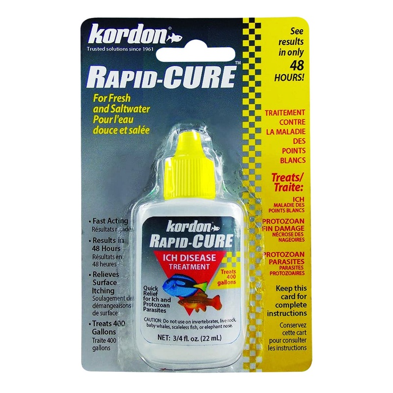 Kordon Rapid Cure