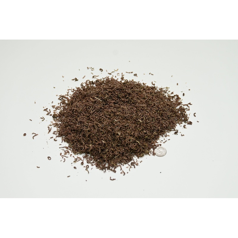 Ken's Freeze Dried Bloodworms
