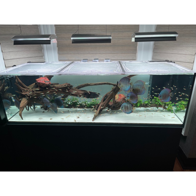 Elos Diamond Line 200 XL (245 Gallons) Custom Polycarbonate Aquarium Screen Top Lid