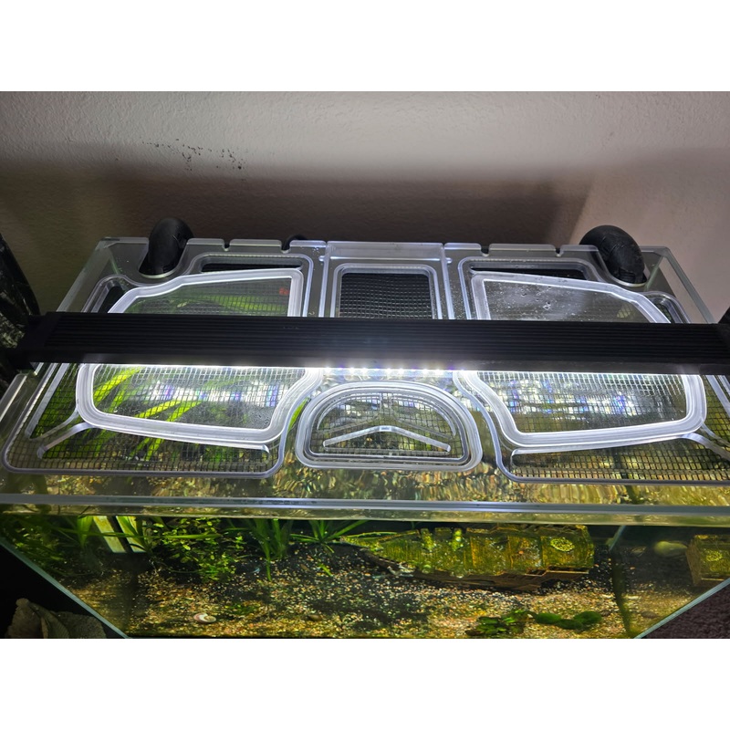 Waterbox Clear Mini 10 Custom Polycarbonate Aquarium Screen Top Lid