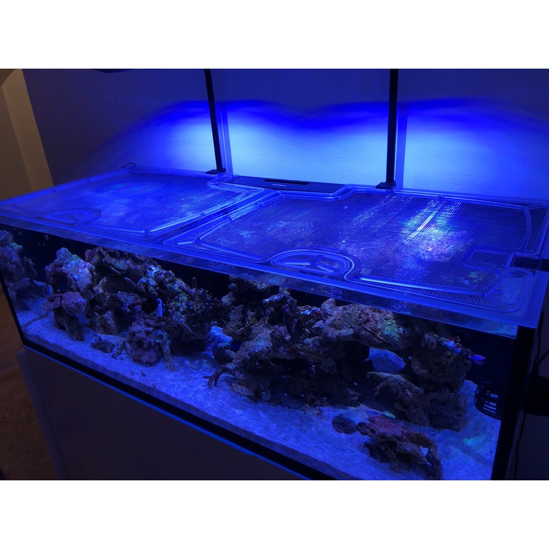 Waterbox Reef LX 230.5 Rimless Custom Polycarbonate Aquarium Screen Top Lid