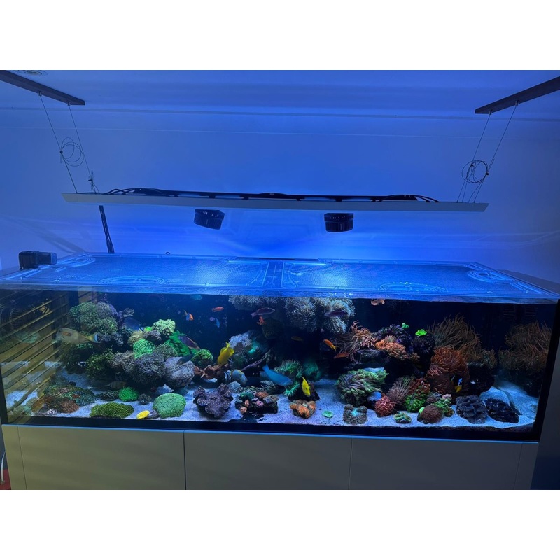 Waterbox Reef LX 320.7 Rimless Custom Polycarbonate Aquarium Screen Top Lid