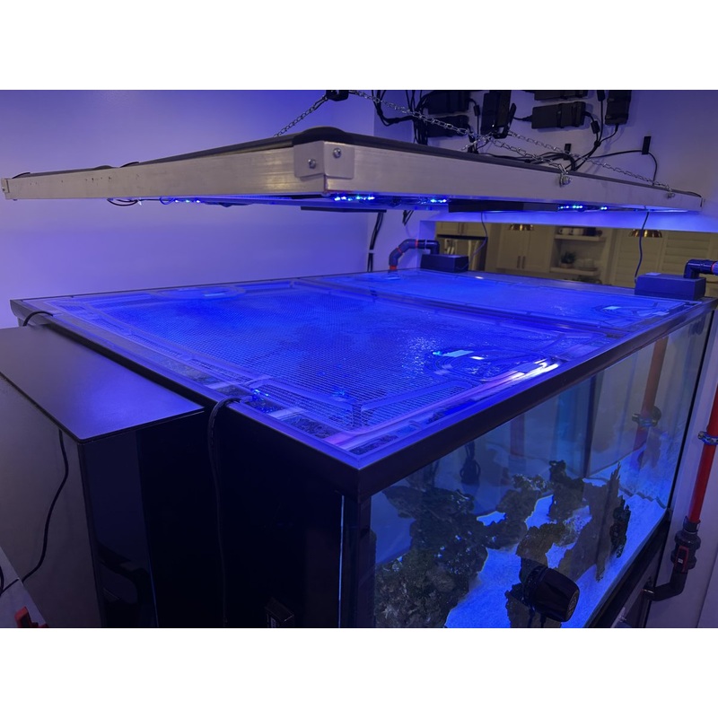 Planet Aquariums Peninsula Overflow Custom Polycarbonate Aquarium Screen Top Lid