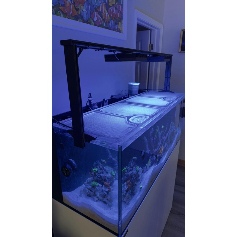 Planet Aquariums Tideline AIO Lagoon 47 Gallon Custom Polycarbonate Aquarium Screen Top Lid
