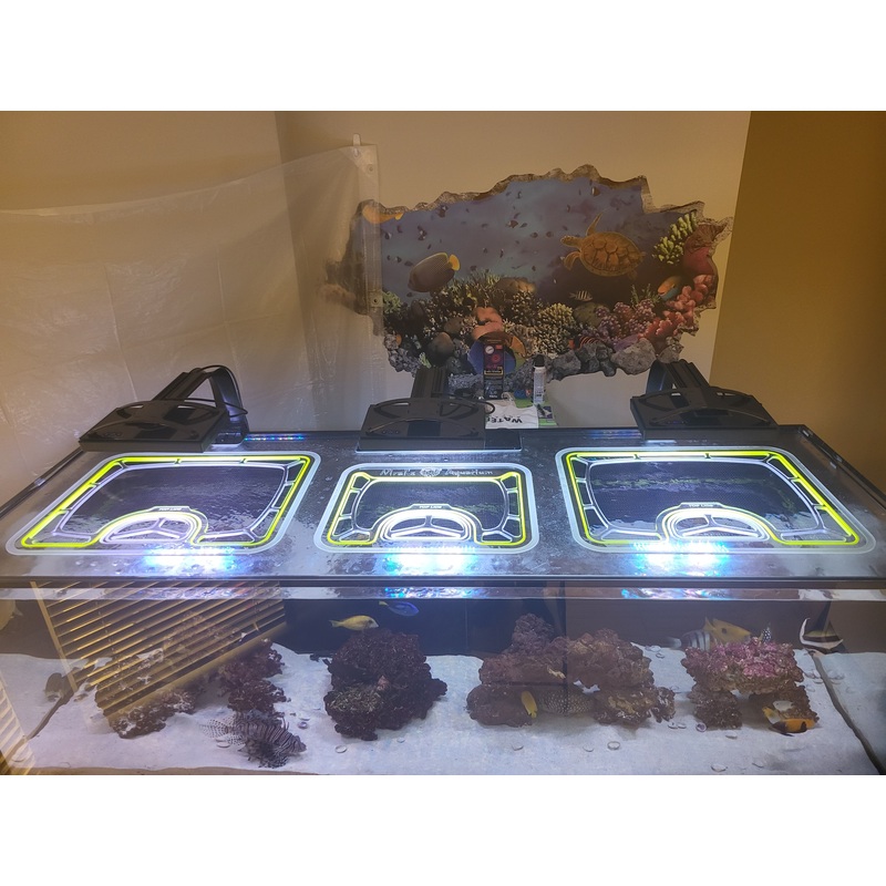 Waterbox Reef LX 330.7 Eurobrace 3-Opening Custom Polycarbonate Aquarium Screen Top Lid