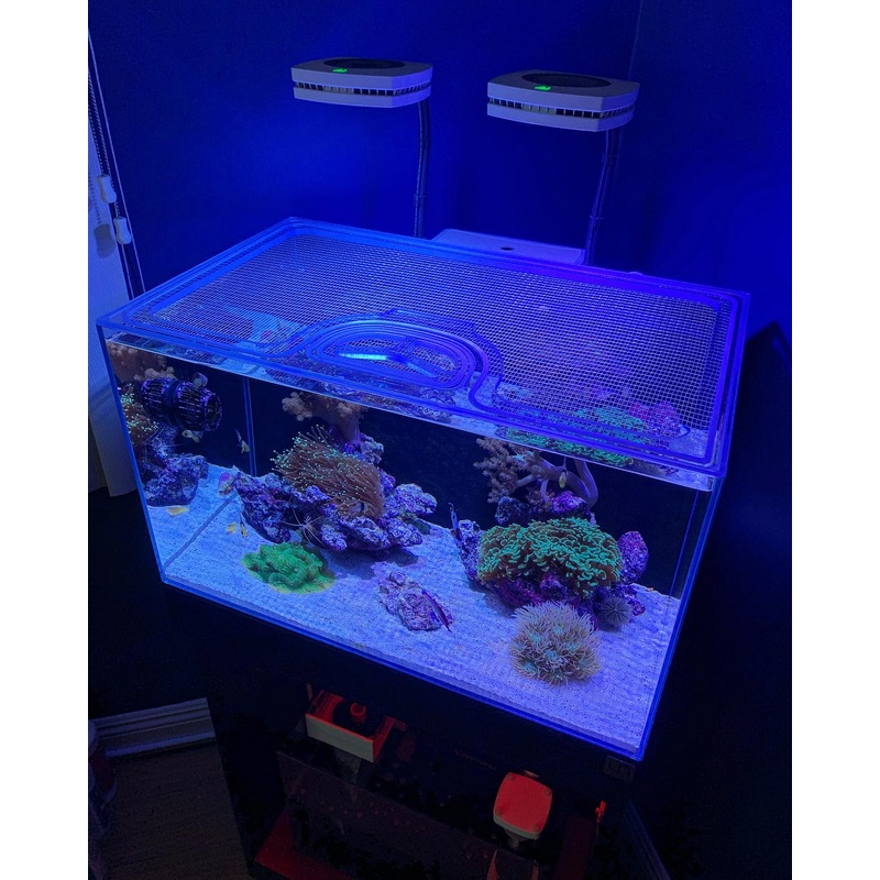 Ultum Nature Systems UNS AIO 40A Cube Polycarbonate Screen Top Lid