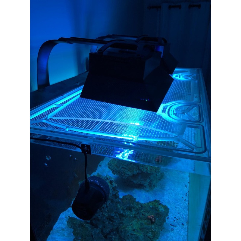 Neptunian L150 Lagoon Polycarbonate Screen Top Lid