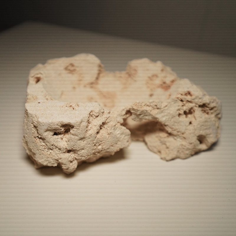 Clam Rock
